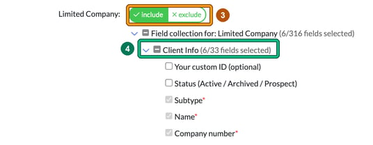 Import File Creation with the Limited Company include toggle highlighted as step 3 and the expanded Client Info field group highlighted as step 4