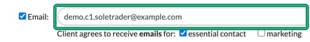Email field in the client General info step showing a demo address, with essential contact and marketing consent below, and the Email field highlighted