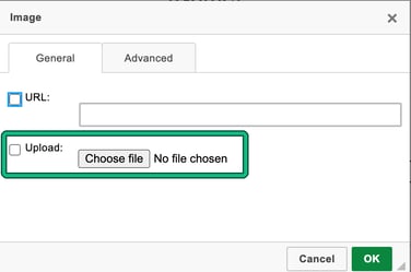 Image window with the Upload option and Choose file highlighted