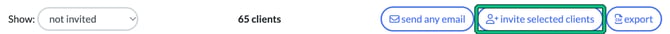 Client Portal users toolbar showing not invited clients, with the invite selected clients button highlighted