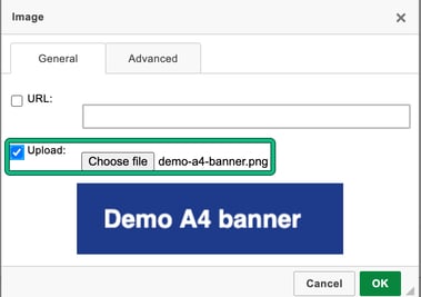 Image dialog General tab with Upload ticked and a demo banner file chosen, highlighted, and the banner previewed above Cancel and OK